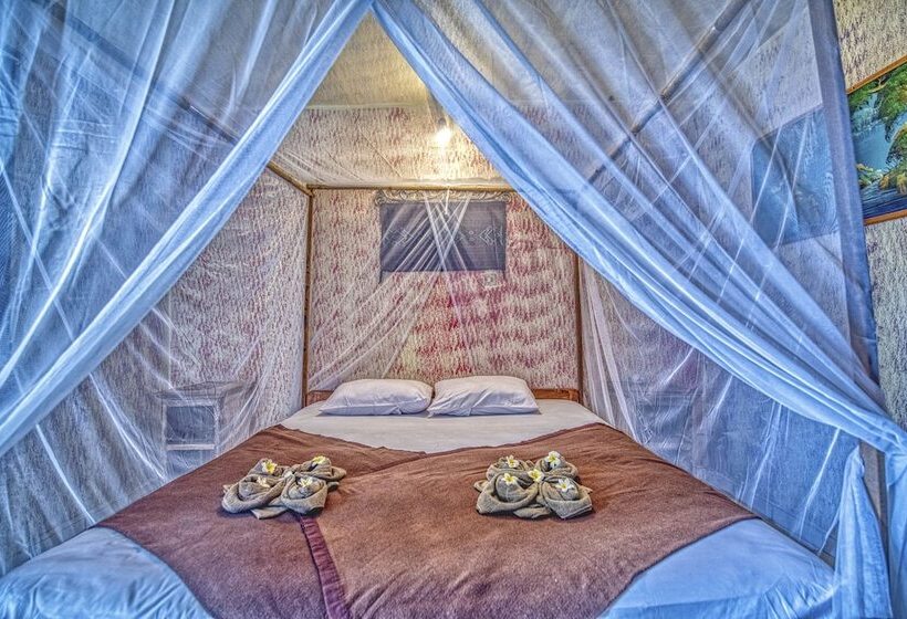 Bed and Breakfast Lovina Central Hostel