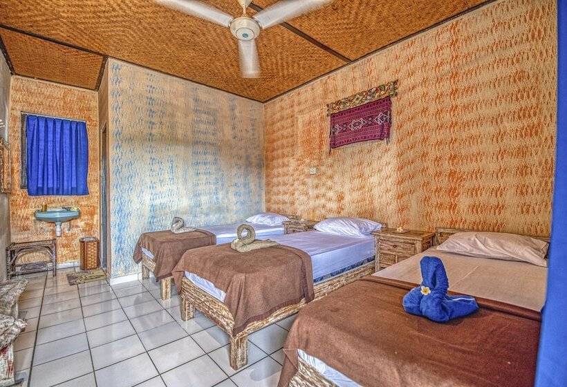 Bed and Breakfast Lovina Central Hostel