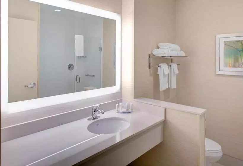 ホテル Fairfield Inn And Suites By Marriott Detroit Canton