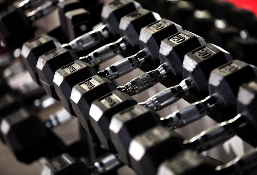 Limelight Hotel Denver