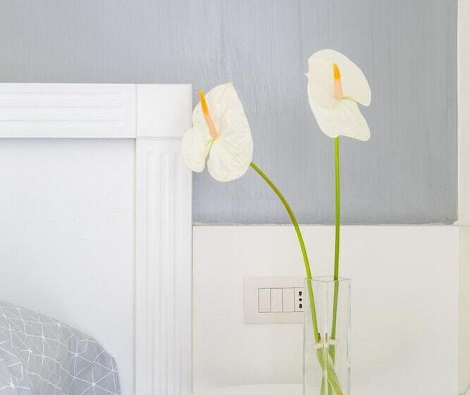 هتل Little Aurelius