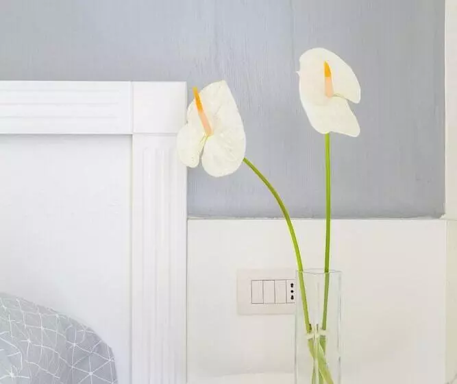 هتل Little Aurelius