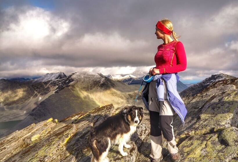 Høvringen Høgfjellshotell