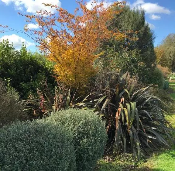 Aamiaismajoitus (B&B) 40 Winks