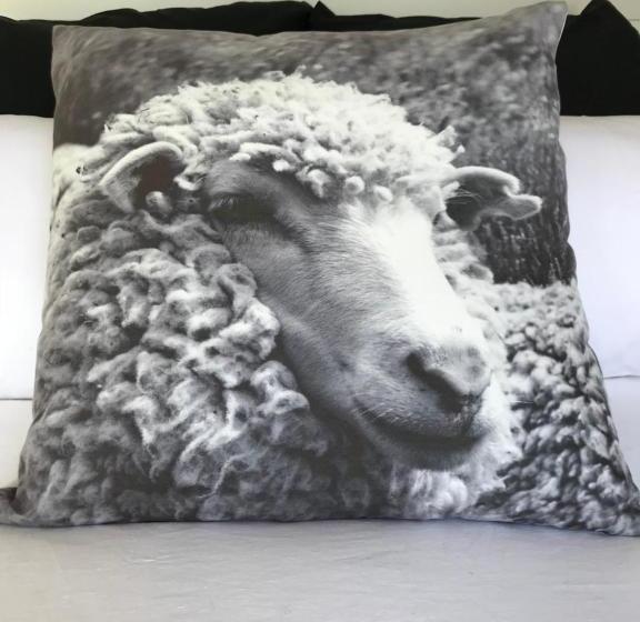 مبيت وإفطار 40 Winks