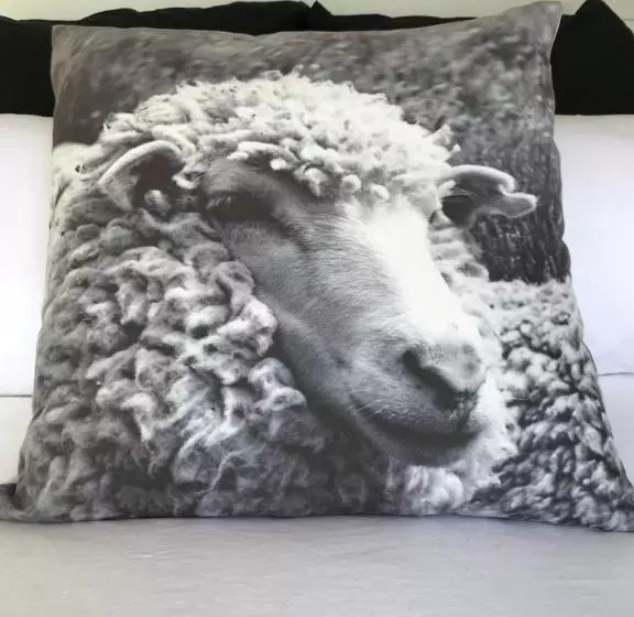 Aamiaismajoitus (B&B) 40 Winks