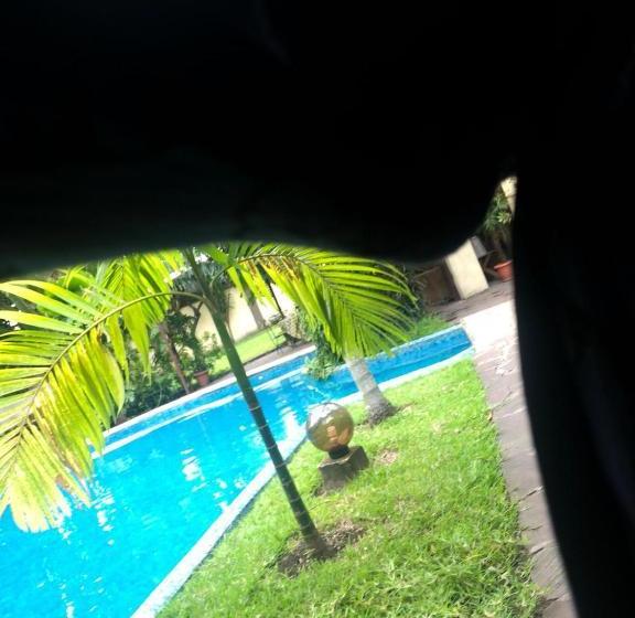 تختخواب و صبحانه Le 159