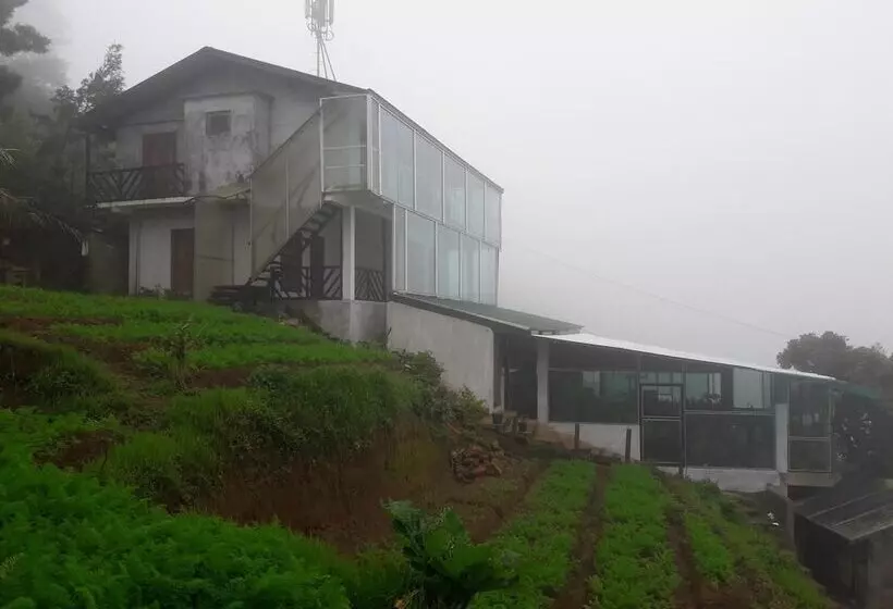 هتل Kirula Green
