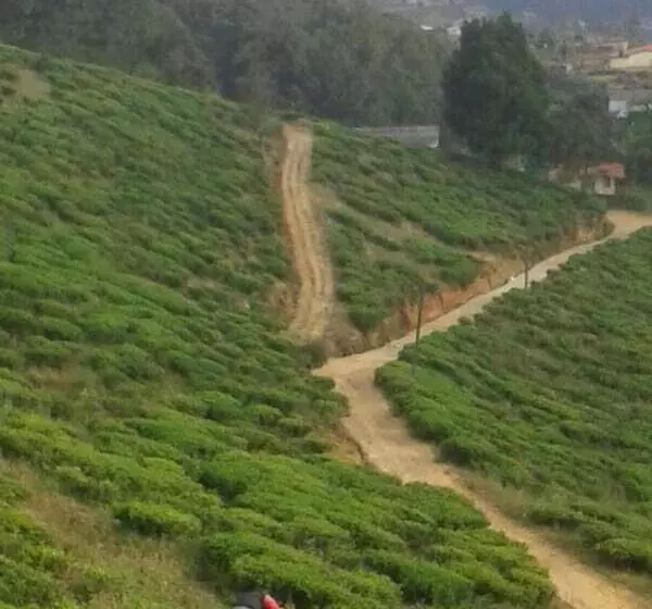 هتل Kirula Green