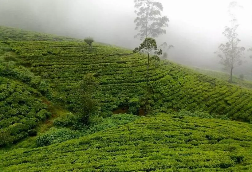 هتل Kirula Green