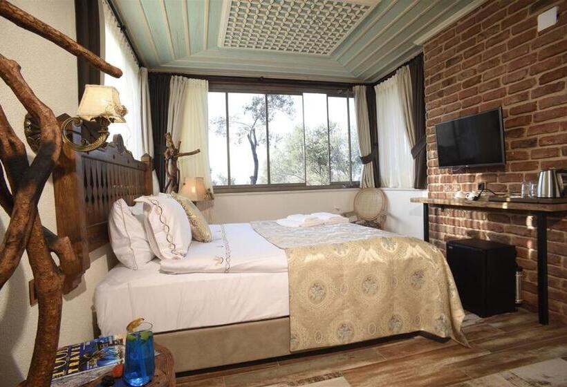 هتل Ayşe Hanım Konağı