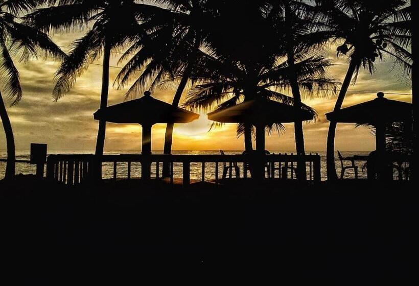 בית מלון כפרי Guesthouse Panorama