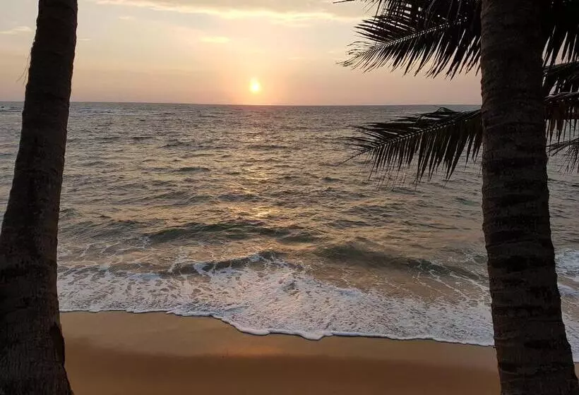 هتل Guesthouse Panorama