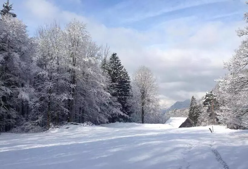 Hotelli Hof Und Post