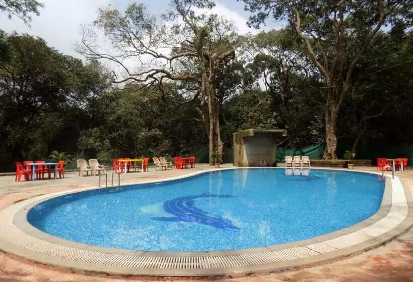 Hotel Spring Wood