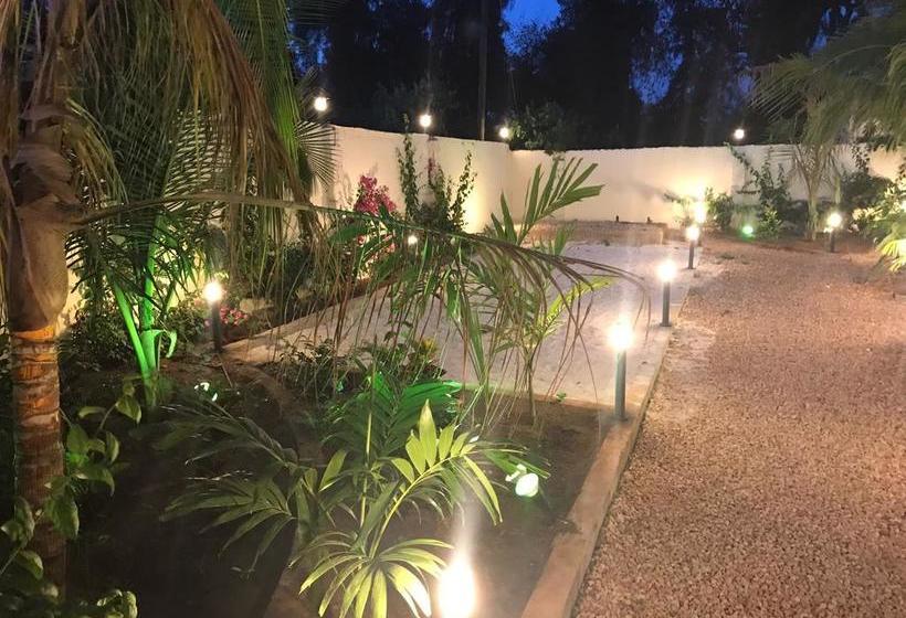 Ocean Dream Beachside Hotel Nungwi