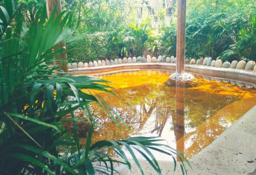 Hotel Chinese Yew Lake