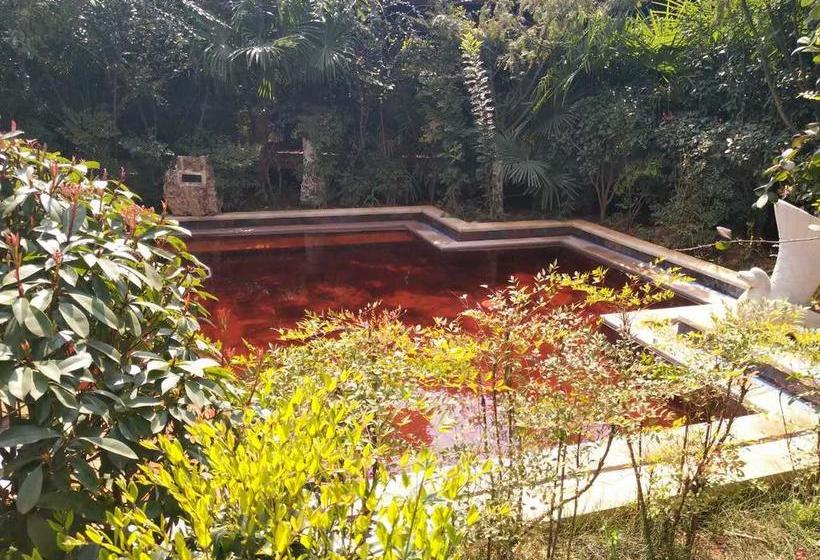 Hotel Chinese Yew Lake