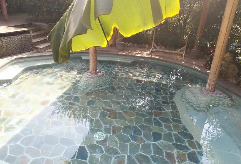 Hotel Chinese Yew Lake