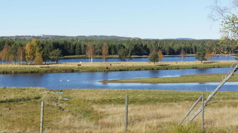 Hotel L Vindelngallerian