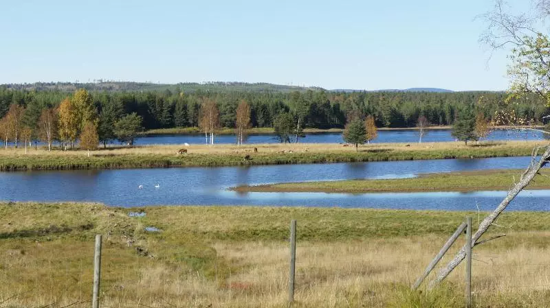 Hotelli L Vindelngallerian