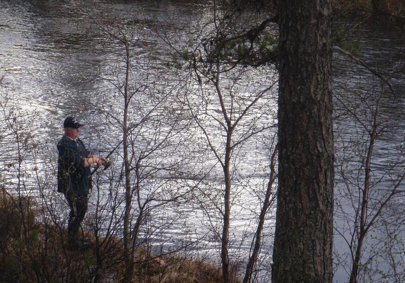 Hotel L Vindelngallerian