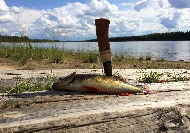 Hotelli L Vindelngallerian