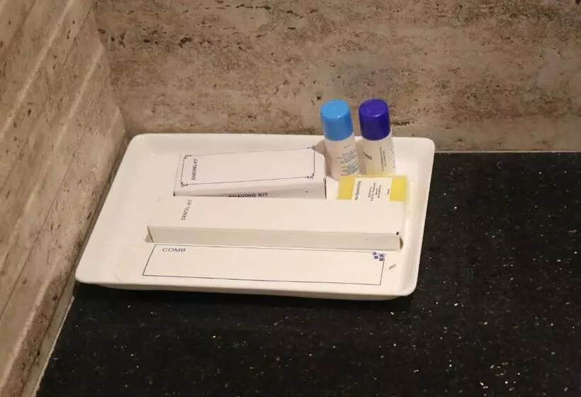 هتل Varanasi Inn