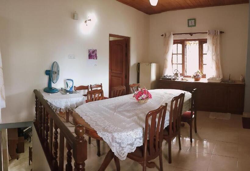 منتجع Staykandy