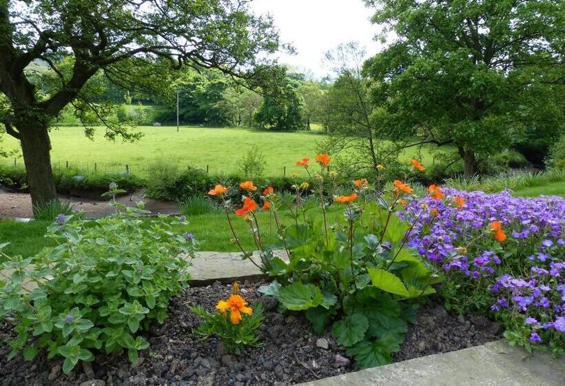 Aamiaismajoitus (B&B) Millbrook