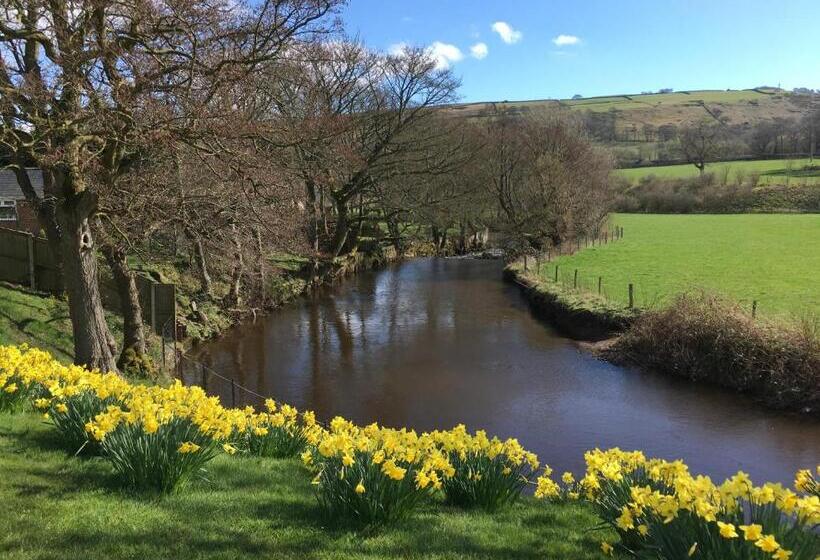 Aamiaismajoitus (B&B) Millbrook