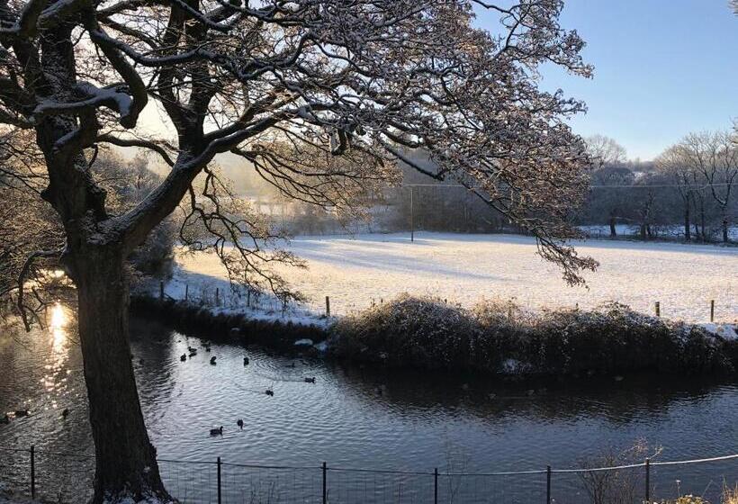 Aamiaismajoitus (B&B) Millbrook