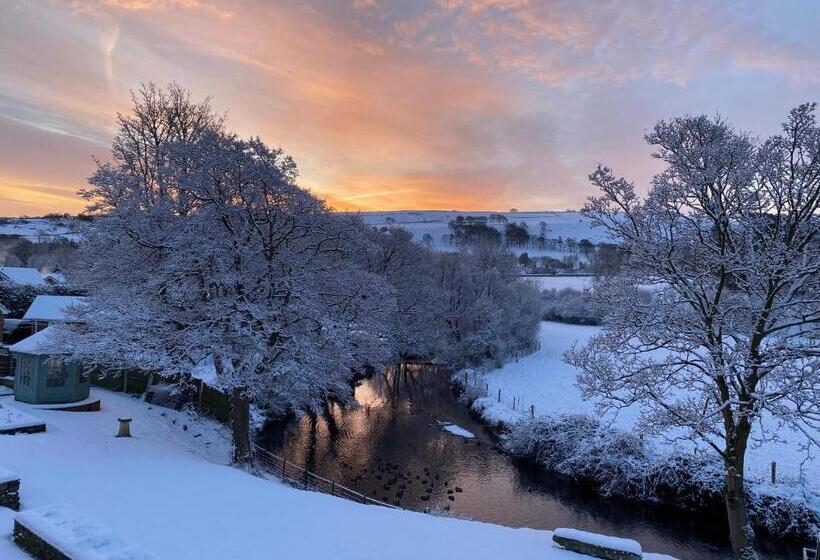 Aamiaismajoitus (B&B) Millbrook