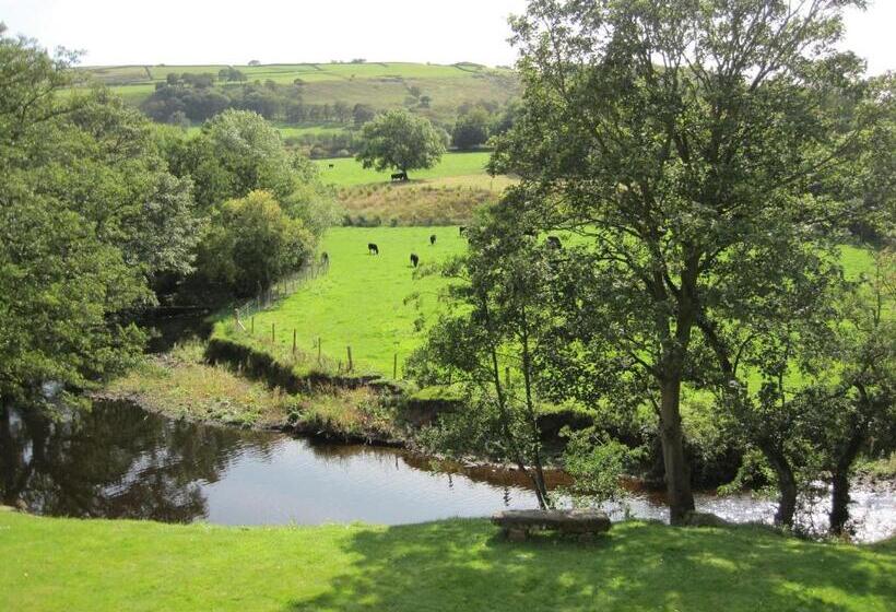 Aamiaismajoitus (B&B) Millbrook