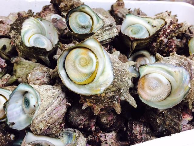 ריוקאן Ryoshi No Onsenyado Taro