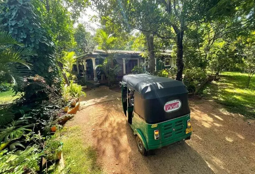 Aamiaismajoitus (B&B) Thilina Homestay