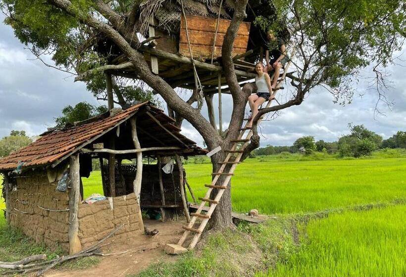 住宿加早餐  Thilina Homestay