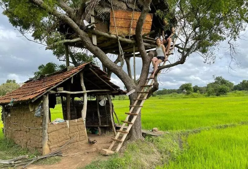 Aamiaismajoitus (B&B) Thilina Homestay