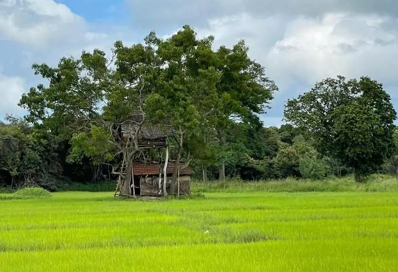 Aamiaismajoitus (B&B) Thilina Homestay