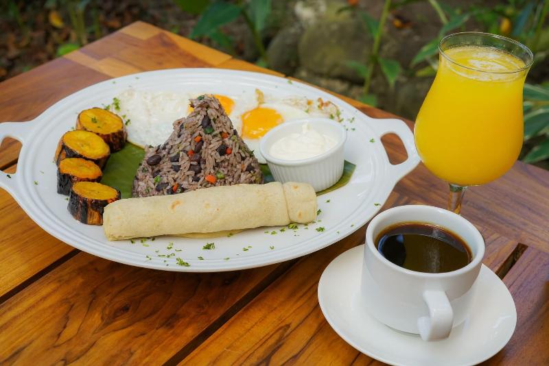 هتل Arenal History Inn