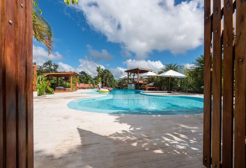 هتل Arenal History Inn