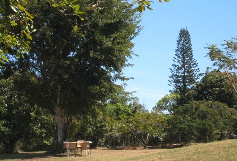 汽车旅馆 Childers Budget Accommodation