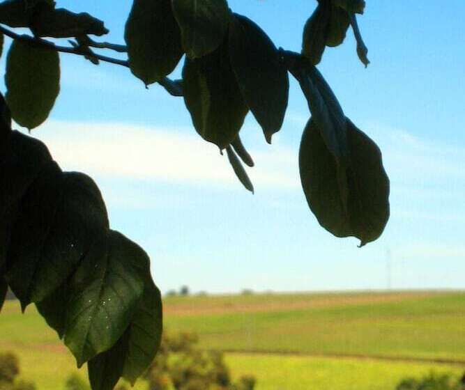 汽车旅馆 Childers Budget Accommodation