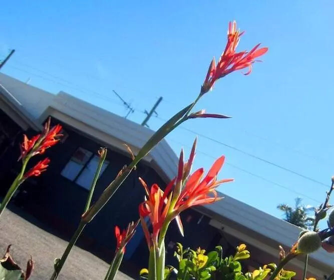 Motelli Childers Budget Accommodation