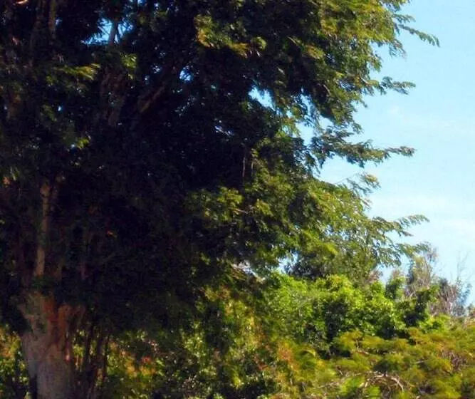 Motelli Childers Budget Accommodation