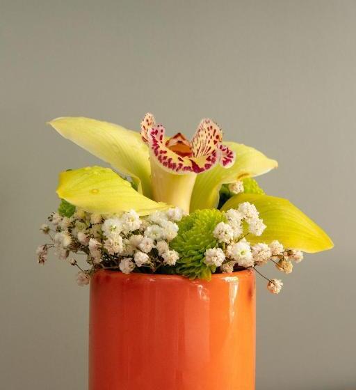 ホテル Le Grand Albert 1er