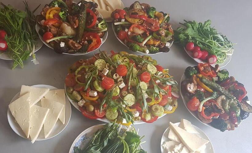 هاستل Mini House