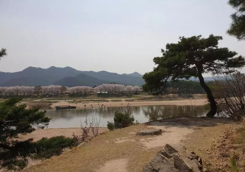 تختخواب و صبحانه Okyeon Jeongsa