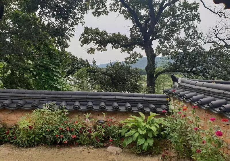 تختخواب و صبحانه Okyeon Jeongsa