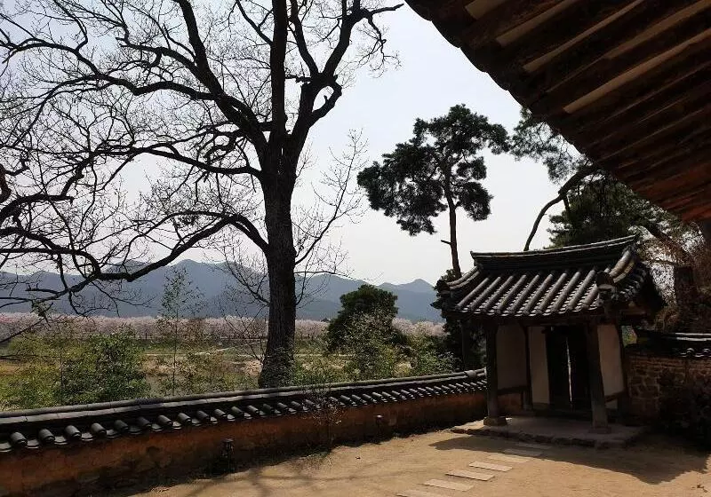 تختخواب و صبحانه Okyeon Jeongsa